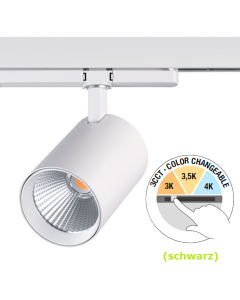 LED Stromschienenstrahler Regina 3CCT 30W 40° DALI schwarz LED Stromschienenstrahler Regina 3CCT 30W 40° DALI schwarz